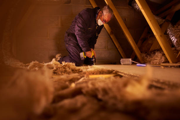 Best Basement Insulation  in Kaunakakai, HI